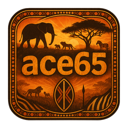 ace65 logo